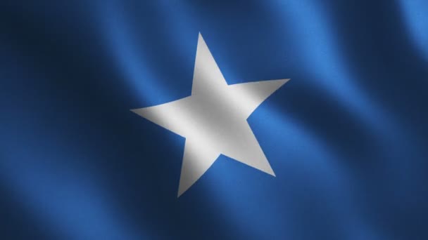 Somálská Vlajka Mává Abstraktní Pozadí Animace Smyčky Pohybová Grafika — Stock video