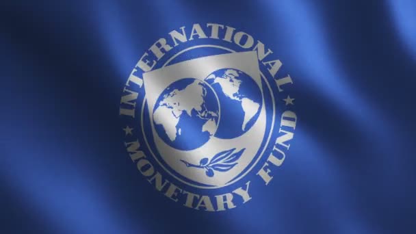 International Monetary Fund Flag Waving Abstract Background Loop Animation Motion — ストック動画