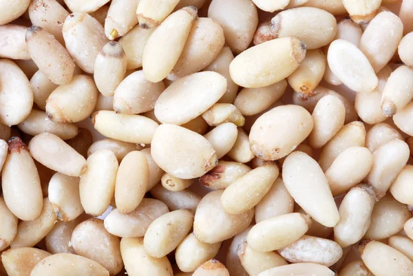 Pine Nuts — Stock Photo, Image