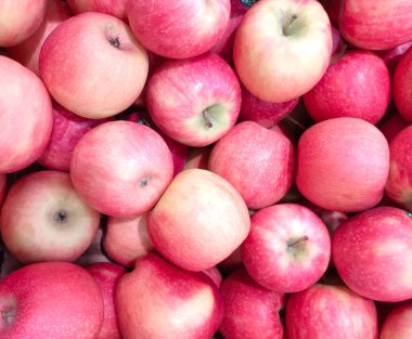 Yeni hasadın taze kırmızı ve sarı elmaları süpermarket tezgahında.