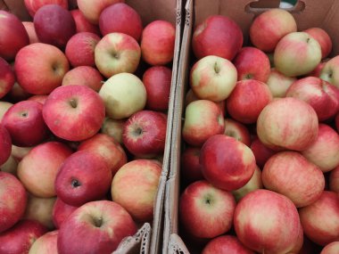 Yeni hasadın taze kırmızı elmaları marketteki karton kutularda. 