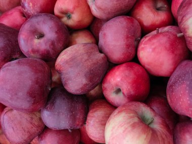 Sebze pazarının tezgahında yeni hasadın kırmızı taze elmaları. 