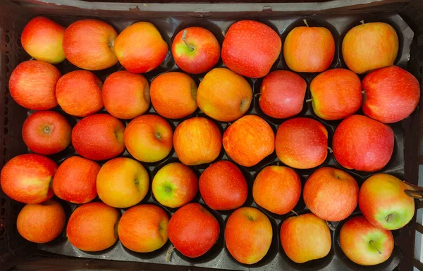 Maçãs Bonitas Frescas Deitadas Bandejas Células Mercado — Fotografia de Stock