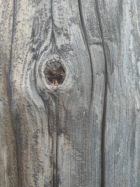 Texture Old Wooden Board Knot Grayed Time — Fotografia de Stock