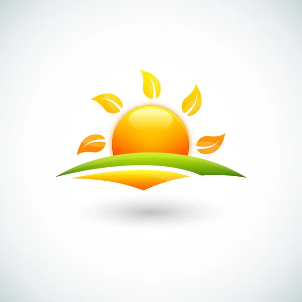 녹색 분야 및 sun의 그림 — 스톡 벡터