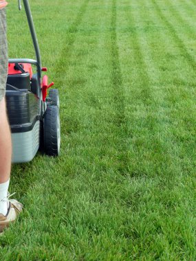 Grass mowing clipart