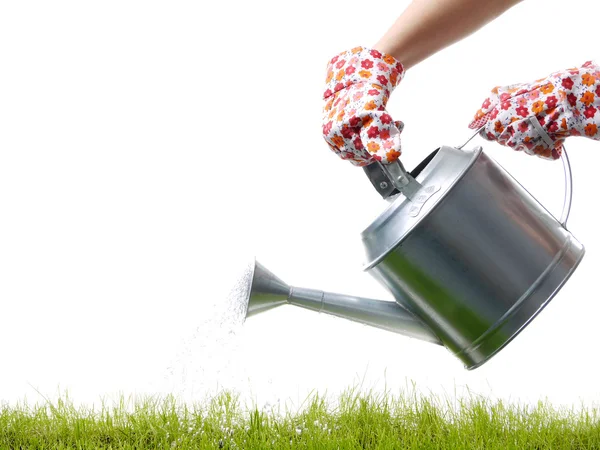 Grass watering — Stock Photo, Image