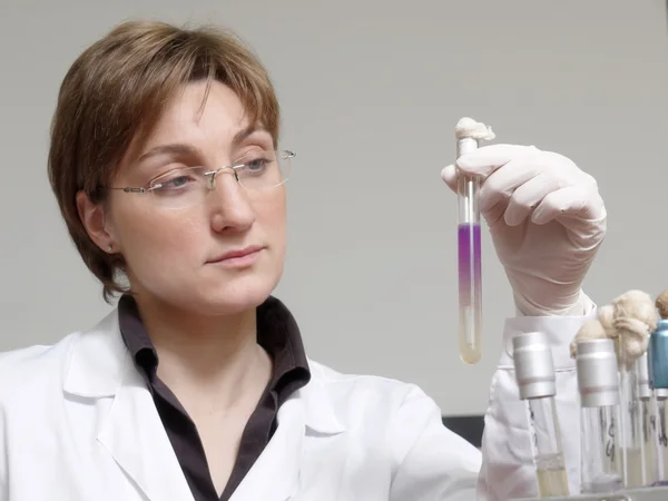 Técnico de laboratorio con muestra — Foto de Stock