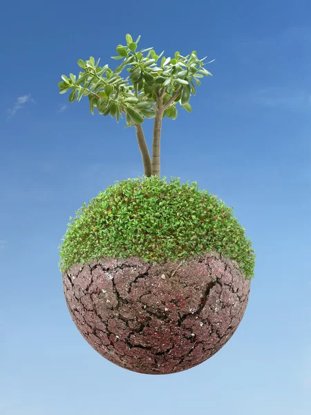 Groene planeet en boom — Stockfoto