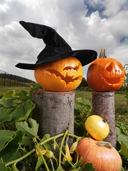 Jack-o-lantern kabaklar — Stok fotoğraf