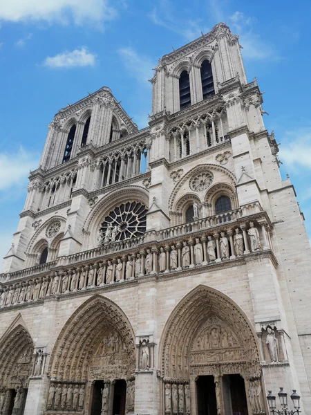 Cathédrale Notre Dame — Photo