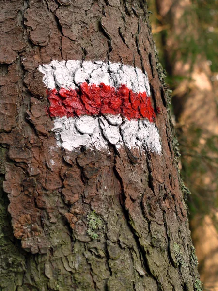 Trail sign — Stock Photo, Image