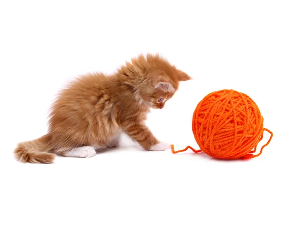Kitten playing with ball of wool — Stock Photo, Image