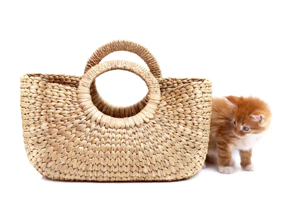 Kitten and textile bag — Stock Photo, Image