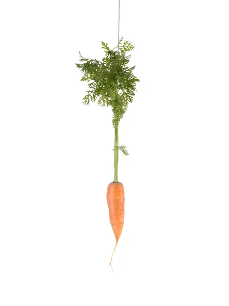 胡萝卜和棍子的办法 — 图库照片