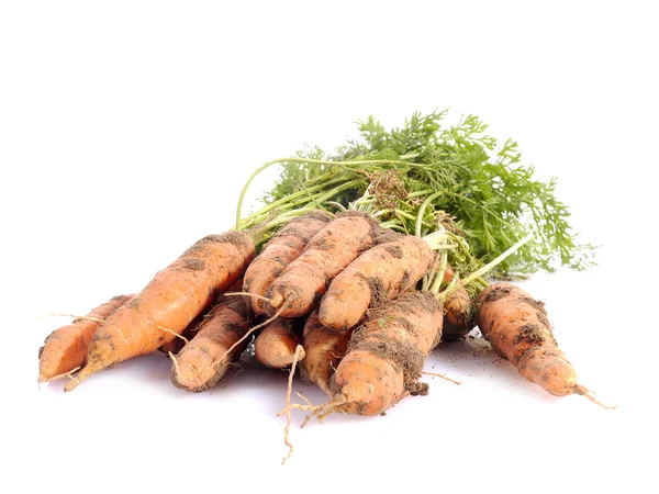 Zanahorias frescas — Foto de Stock