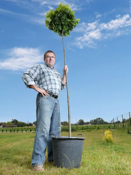 鉢植えな木を持つ男 — ストック写真