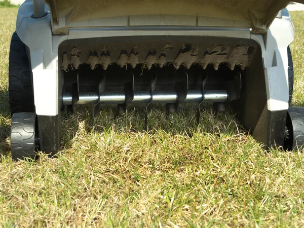 Lawn scarifier — Stock Photo, Image
