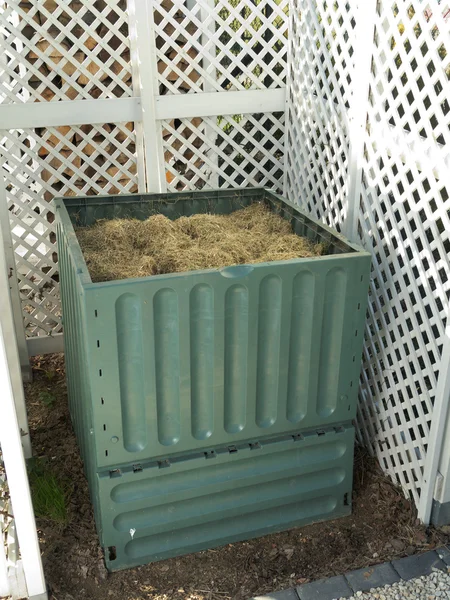 Cubo de compost — Foto de Stock