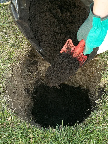 Preparación de plantación — Foto de Stock