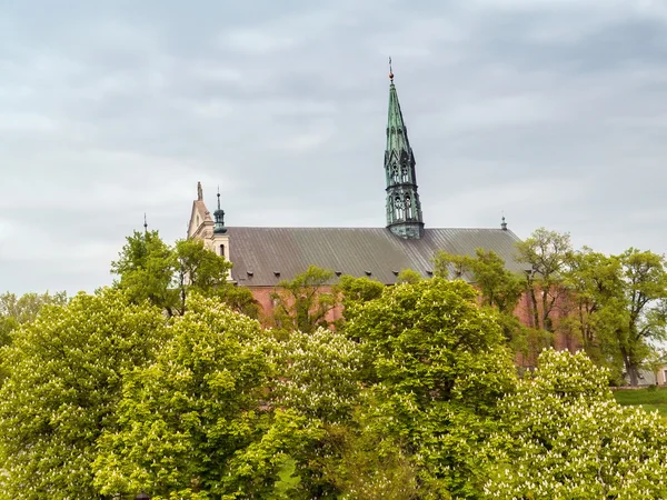 Katedralen i sandomierz — Stockfoto