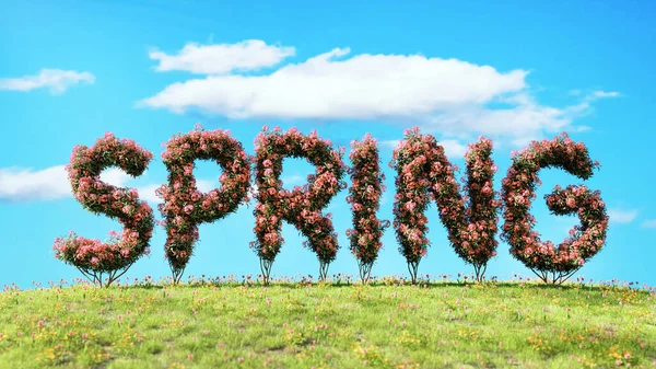 Rendering Spring Shaped Shrubs Covered Spring Flowers Grassy Meadow — Stock Photo, Image