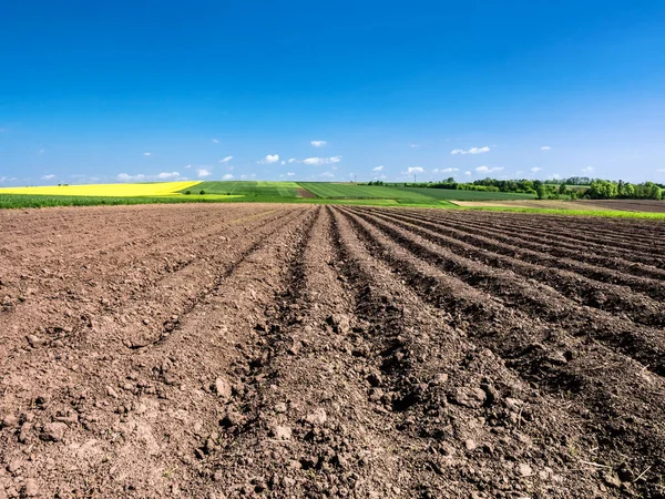 Wide Angle View Ploughed Field Horizon Line — Stock Photo, Image