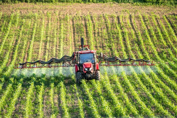 Farm tractor spraying pesticides over the field of ripening corn plants