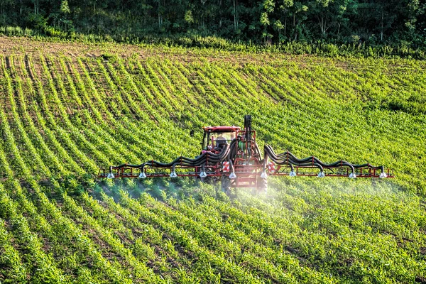 Сельскохозяйственные Тракторы Распыляют Пестициды Над Полем Зрелых Кукурузных Растений — стоковое фото