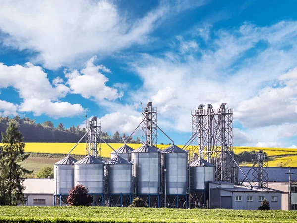 Grain Silo Plant Agains Field Ripening Rapsflowers — Photo