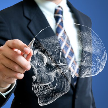 İnsan kafa kafatası kroki