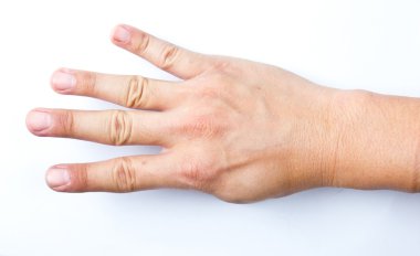 el ve parmak kavramı