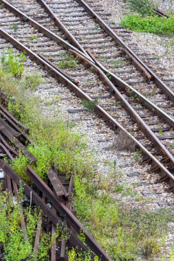 Raylı tren