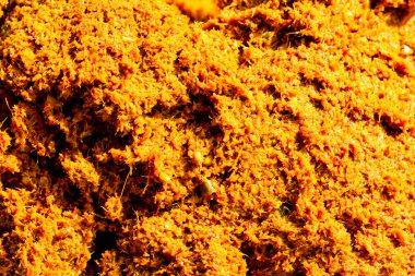 karides yapıştırın