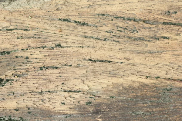 Textura de madeira — Fotografia de Stock