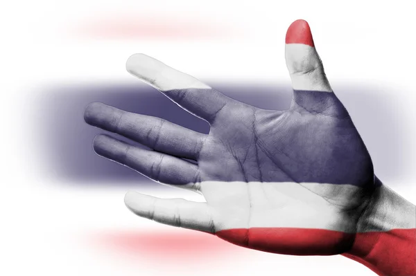 Jublande fläkt med målning thailand nationella flagga med din hand — Stockfoto