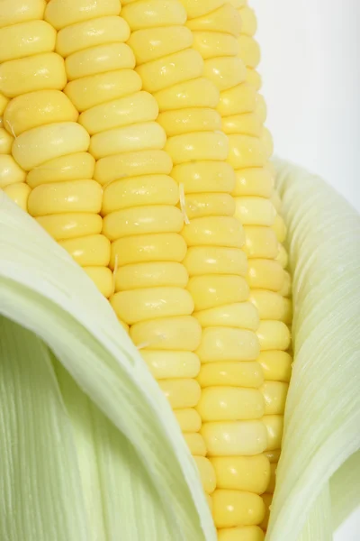 Corn — Stock Photo, Image