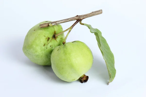 Close up Guava — Stock Photo, Image