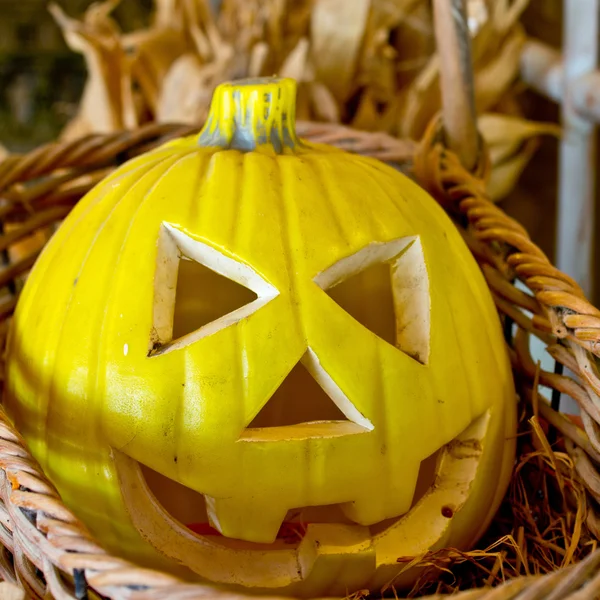 Cadılar Bayramı Balkabağı