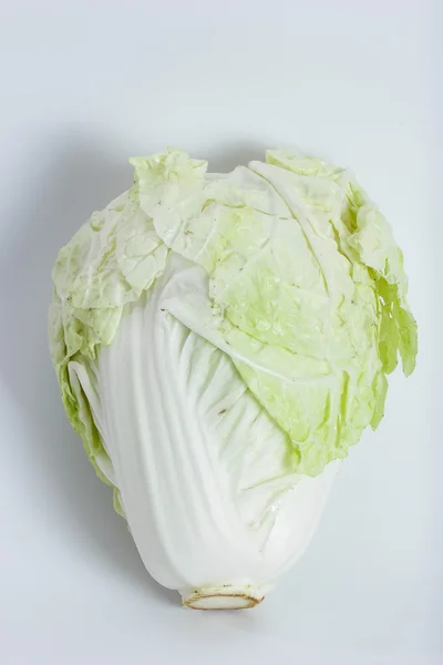 Green lettuce — Stock Photo, Image