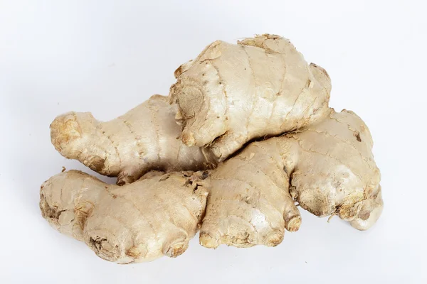 Ginger — Stock Photo, Image