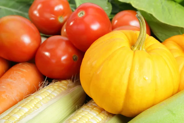 Fresh vegetable prepare Stock Picture