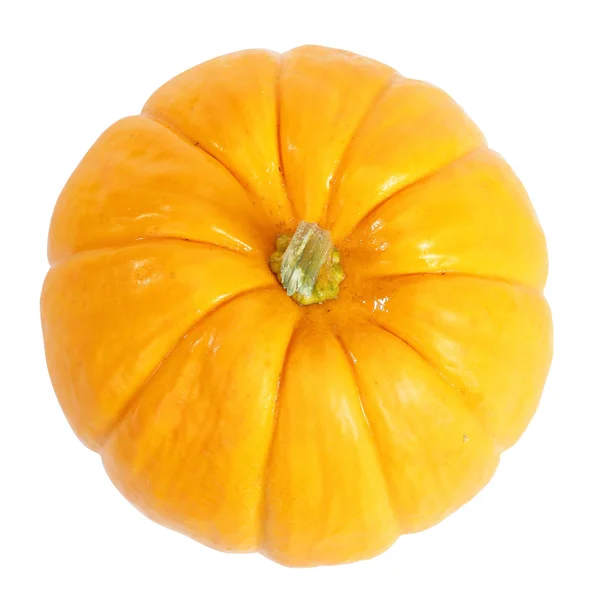 Pumpkin — Stock Photo, Image