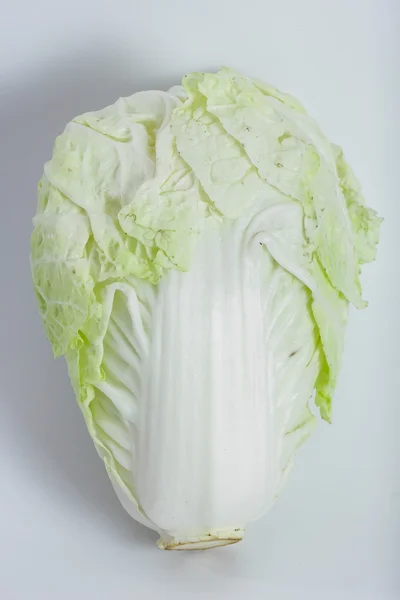 Green lettuce — Stock Photo, Image