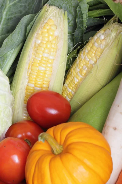 Préparation de légumes frais — Photo