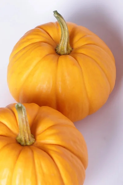 Calabaza — Foto de Stock