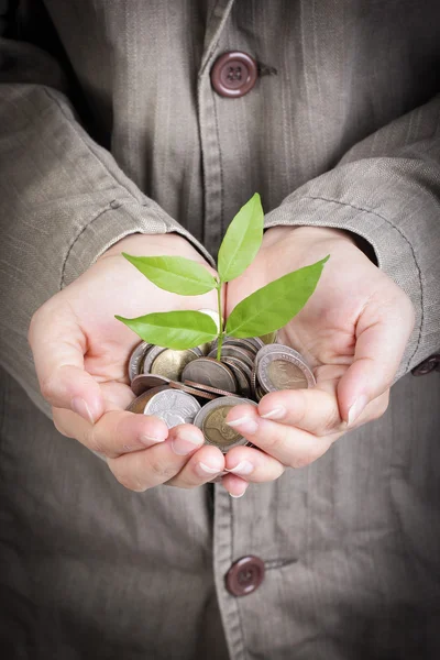 Businessman cover growing plant — Stock Photo, Image