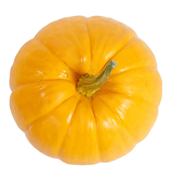 Pumpkin — Stock Photo, Image