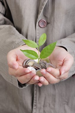 bitki yetiştirme işadamı kapak