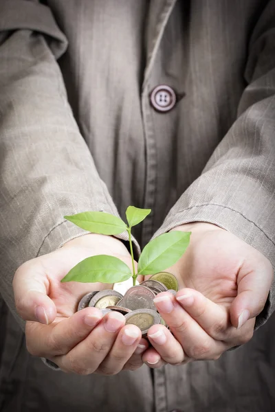 Empresário cobrir planta crescente — Fotografia de Stock